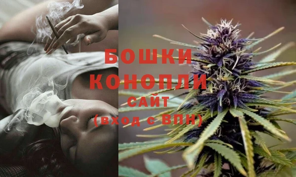 амф Белоозёрский