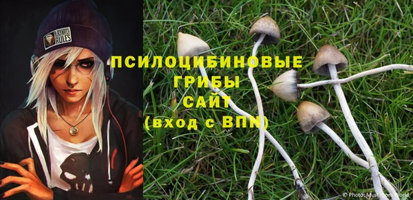 твердый Белокуриха