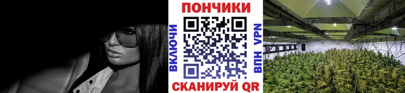 Каннабис семена  даркнет наркотические препараты  Невель  где купить наркотик 